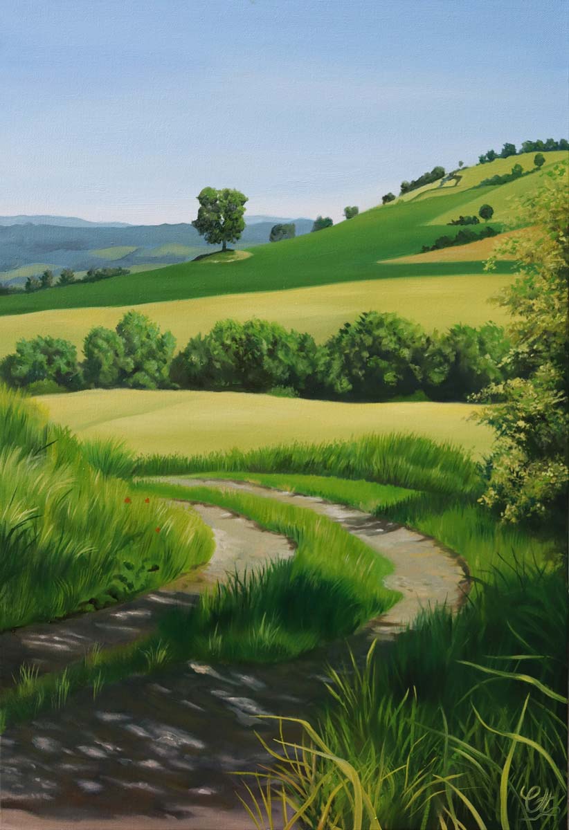 Paysages